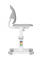Растущий стул FunDesk SST2 Grey
