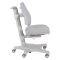Cubby растущая парта Rimu Grey и учебное кресло Solidago Grey